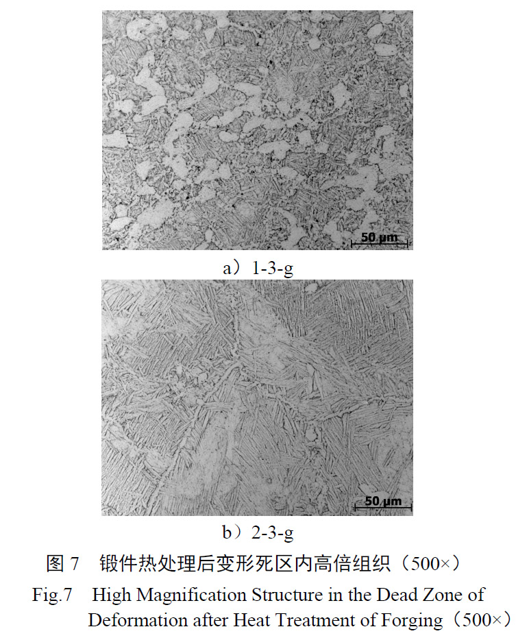 1657926529693241.jpg t7.jpg