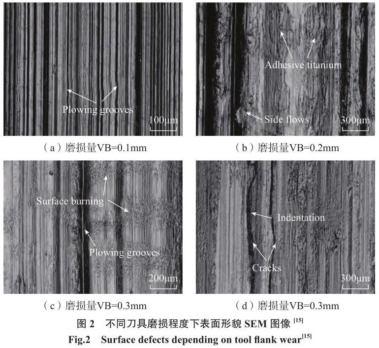 1692265921840501.jpg t2.jpg