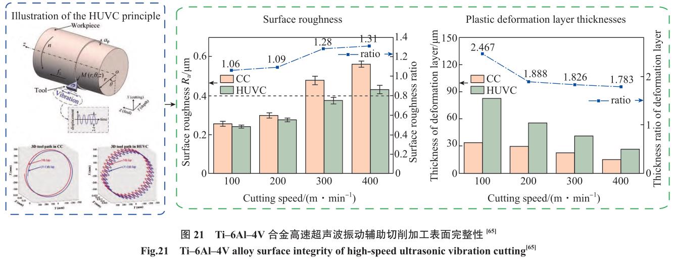 1692266112263570.jpg t21.jpg