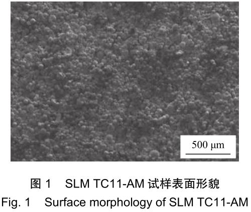 1701651352599055.jpg t1.jpg