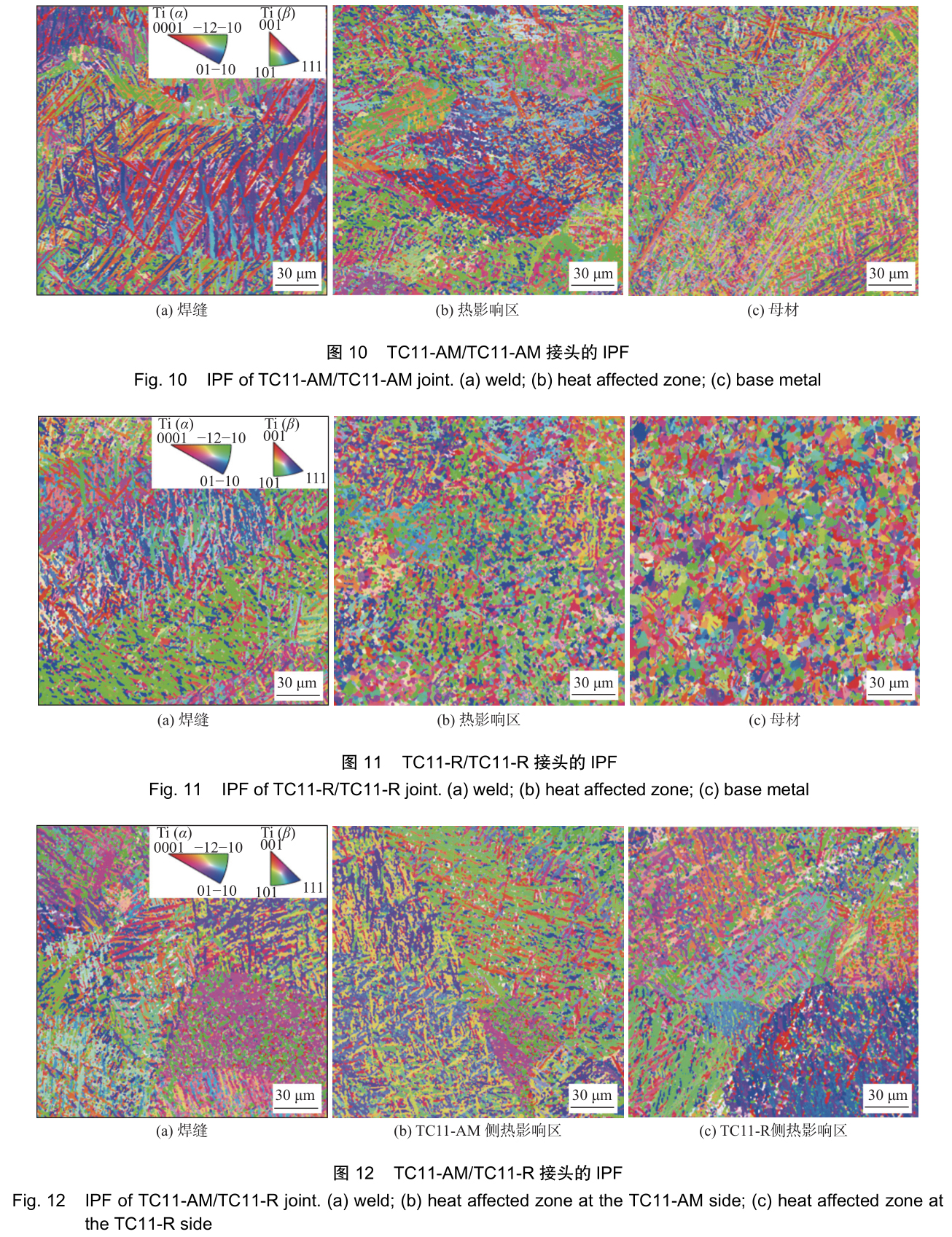 t10-12.jpg t10-12.jpg