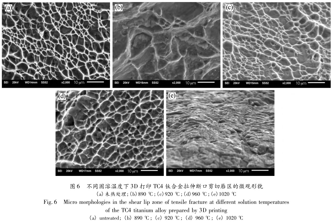 1705810669945547.jpg t6.jpg