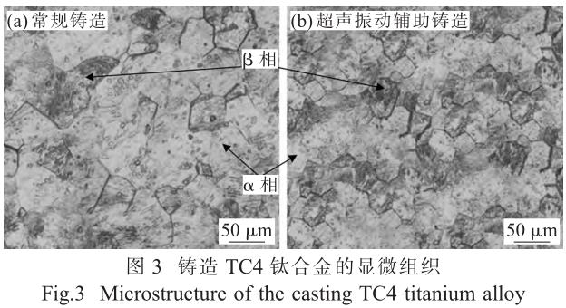 1705847793415353.jpg t3.jpg