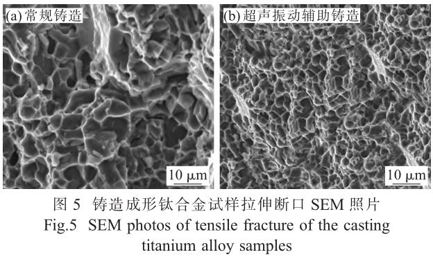 1705847834687151.jpg t5.jpg