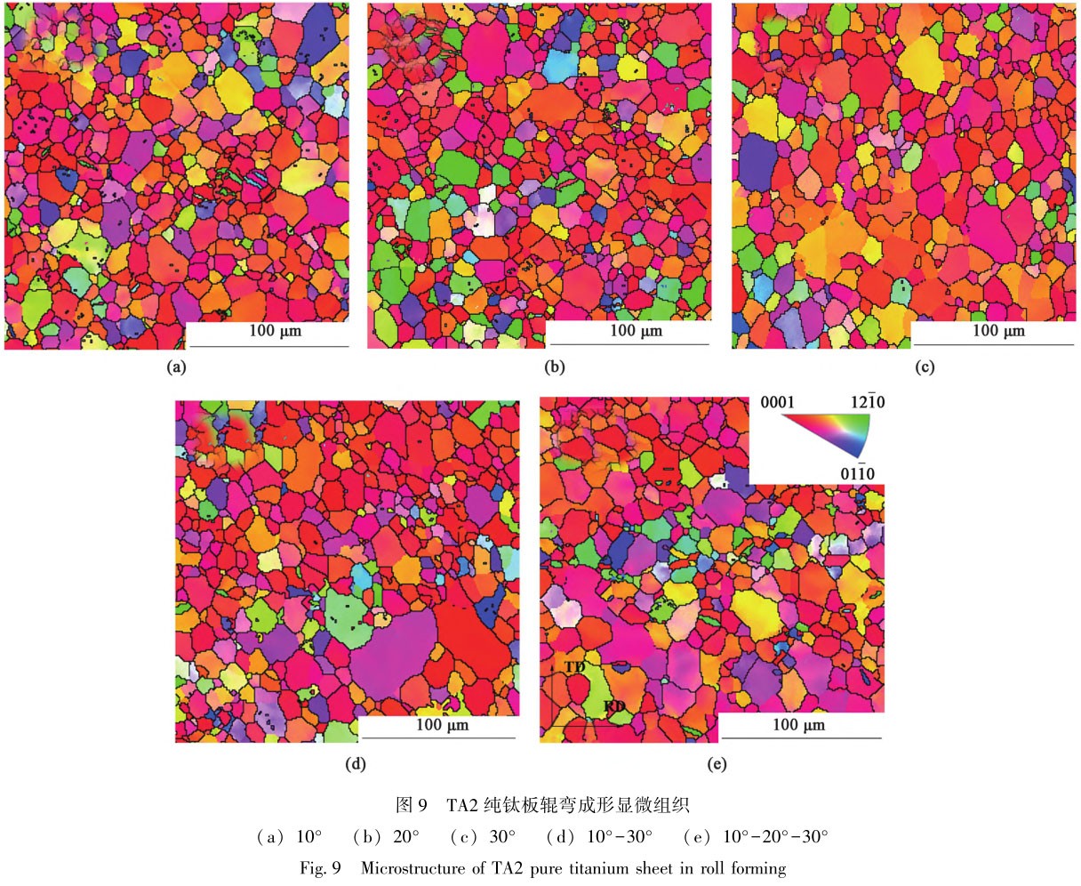 1708524078661196.jpg t9.jpg