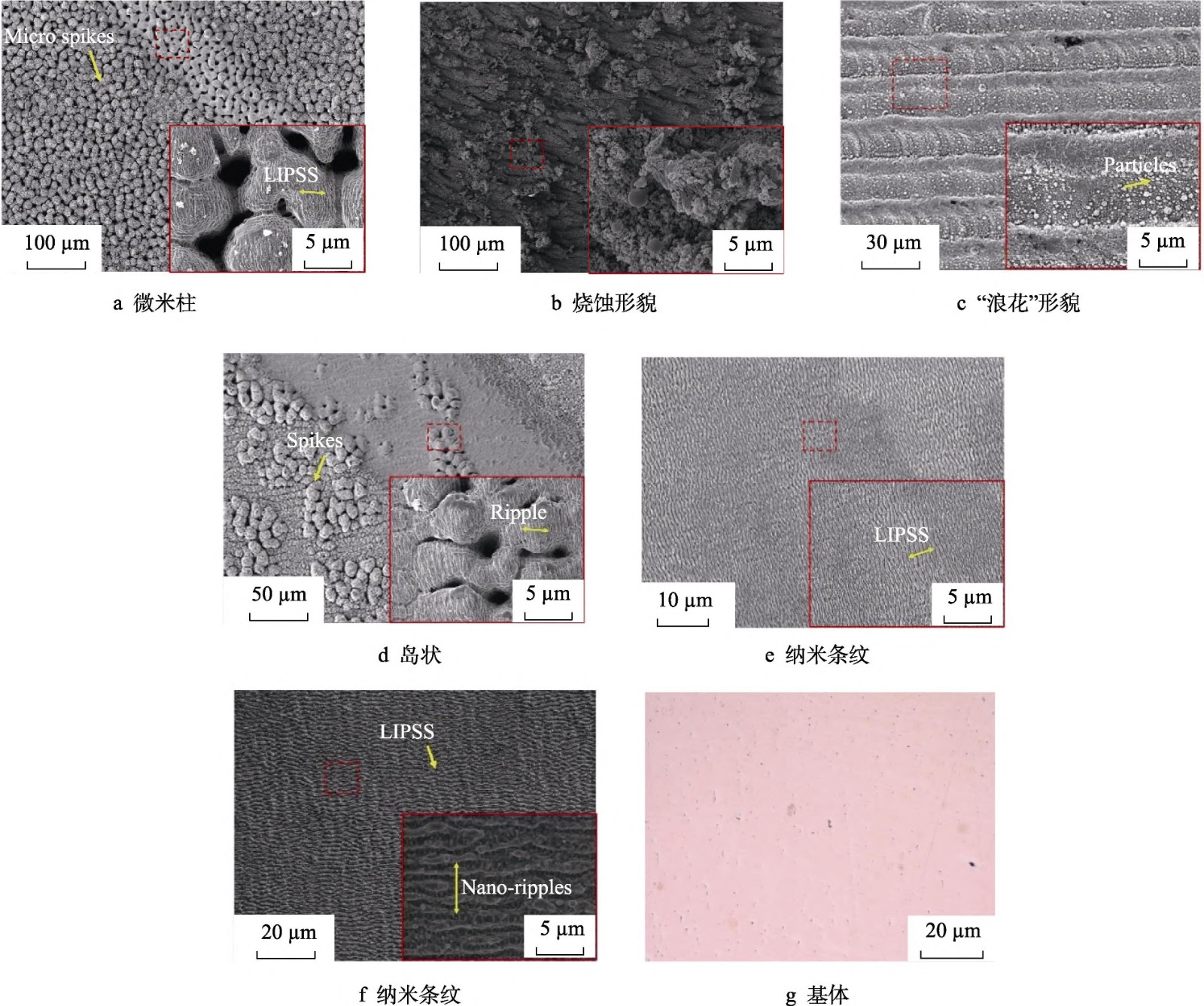 1709176835288862.jpg 1.jpg