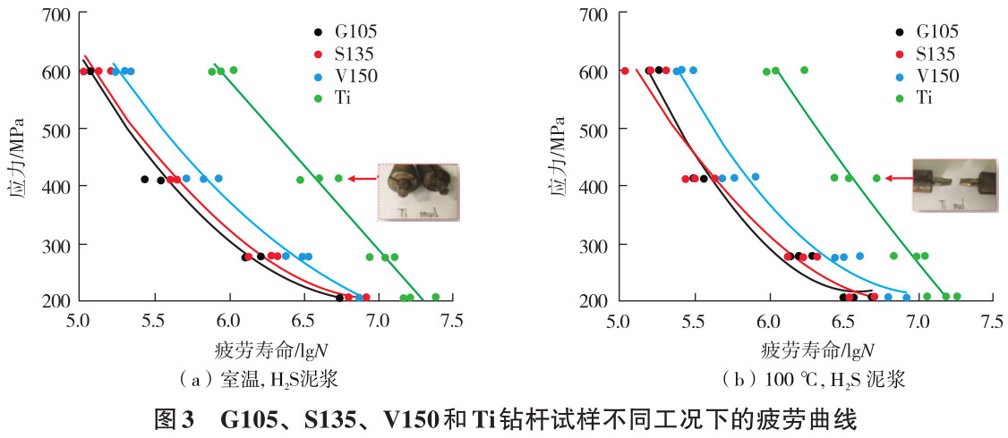 1709120525230511.jpg t3.jpg