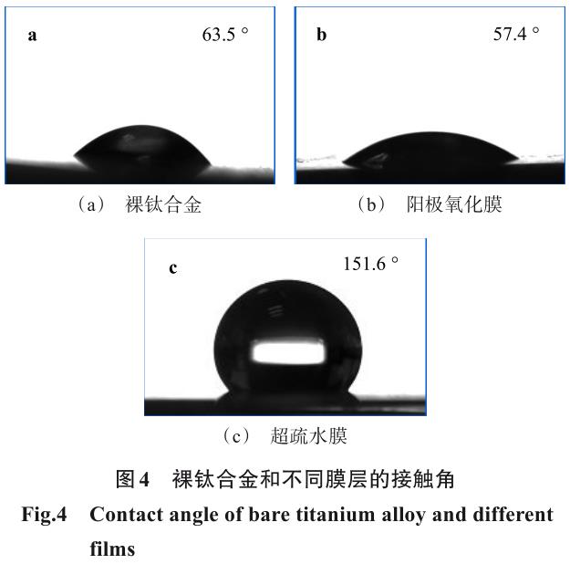 1717899272189899.jpg 360截圖16720402424352.jpg