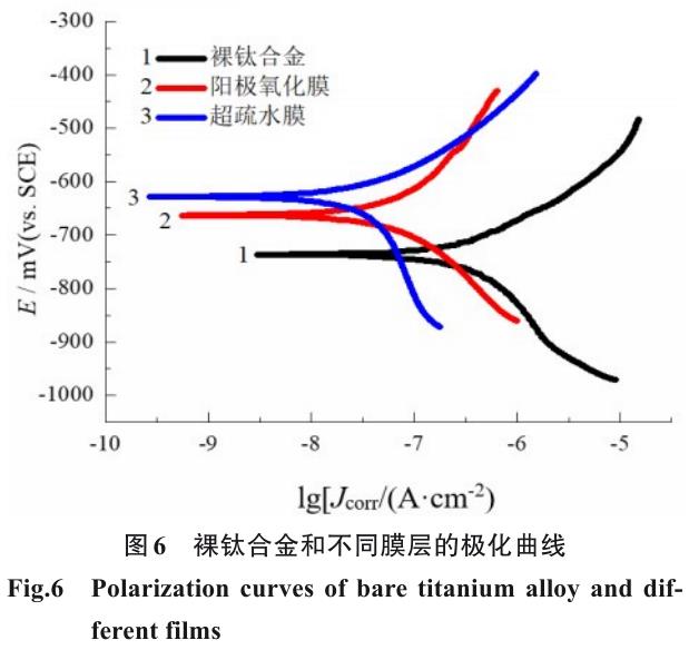 1717899328481956.jpg 360截圖16610716274359.jpg
