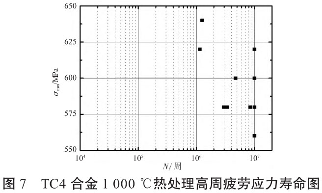 1723690949132318.jpg t7.jpg