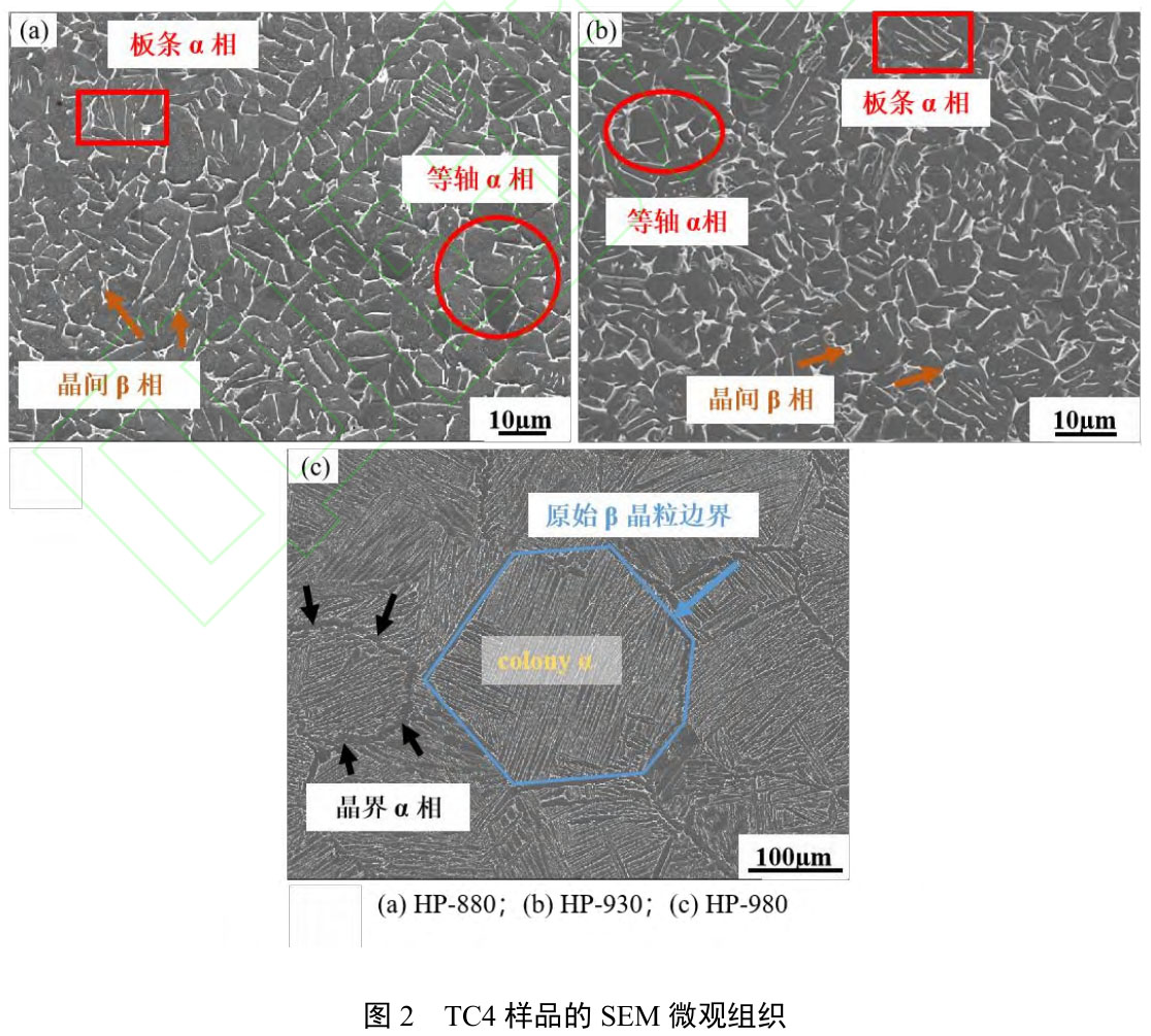 1723708338154053.jpg t2.jpg