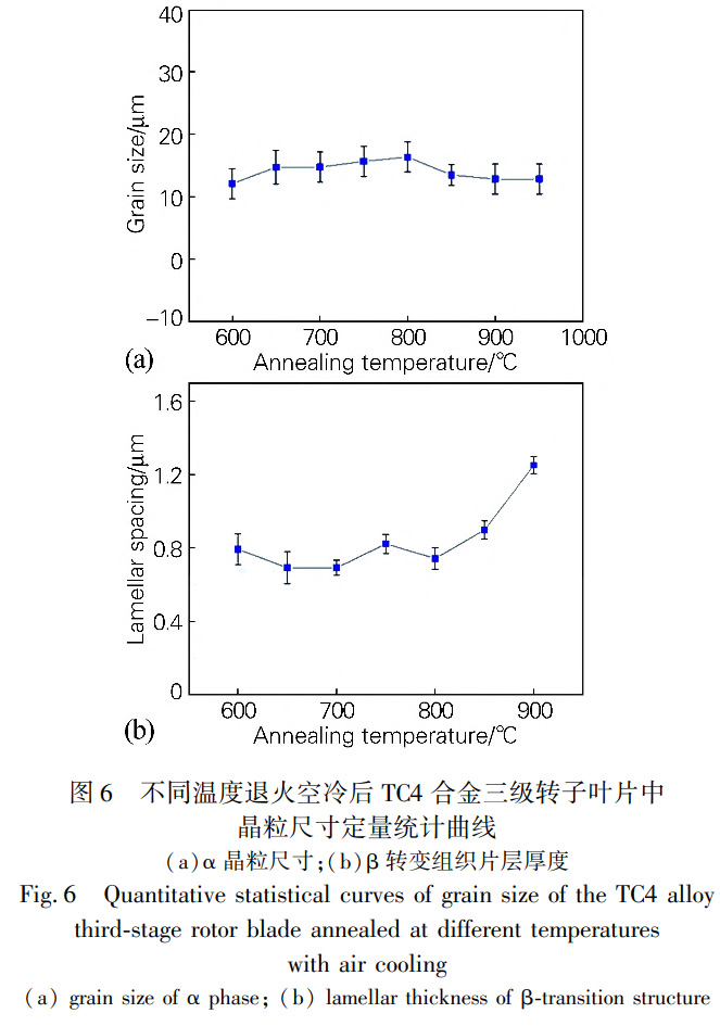 1731315040616723.jpg 6.jpg