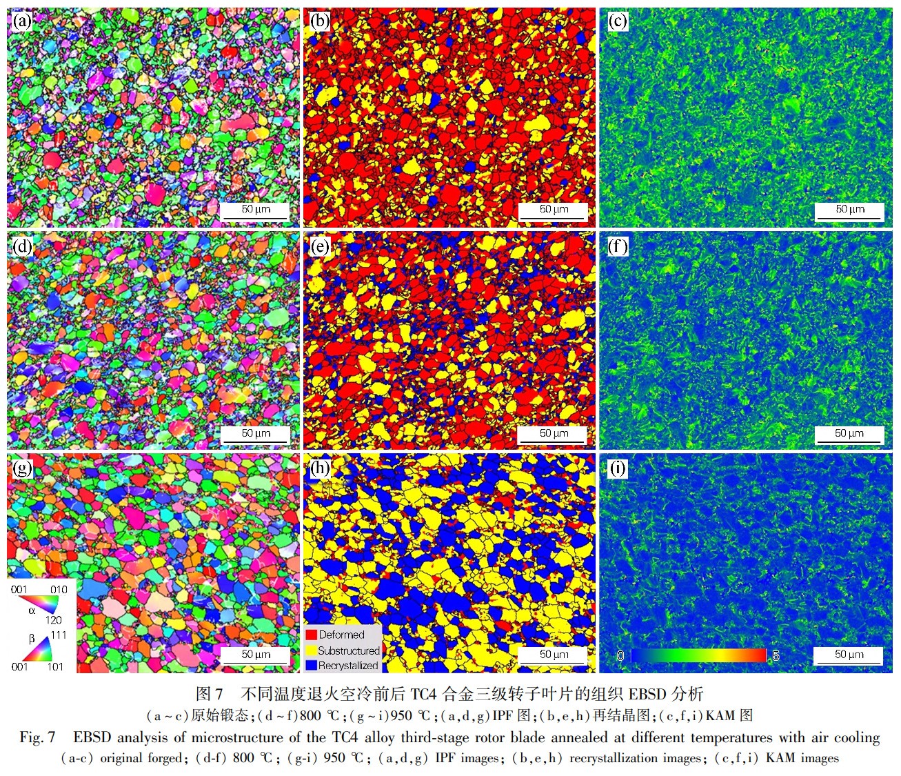 1731315064868034.jpg 7.jpg