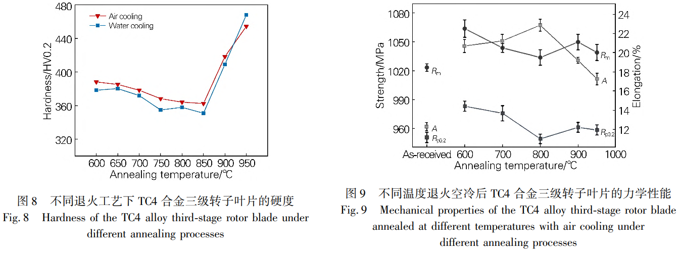 1731315078823772.png 8-9.png