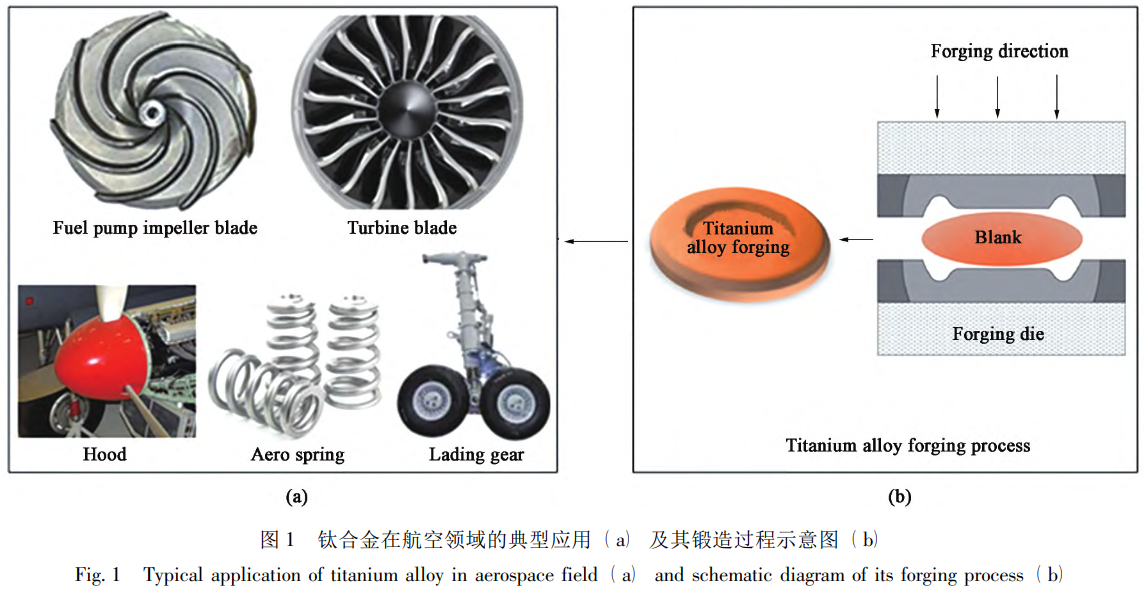 1734183796808085.png 1.png