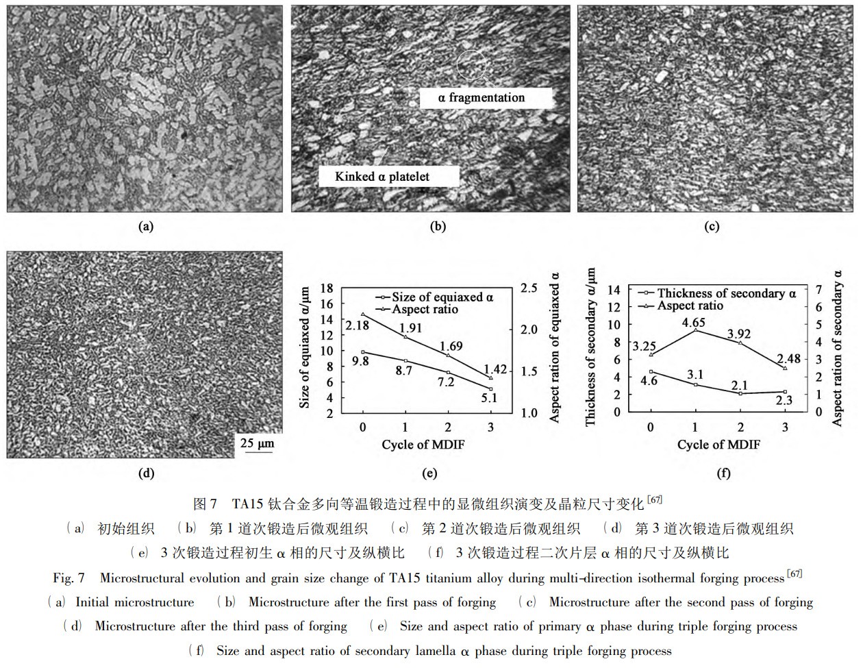 1734183857680247.jpg 7.jpg