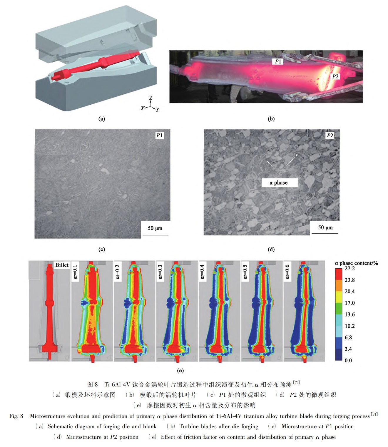 1734183866303433.jpg 8.jpg