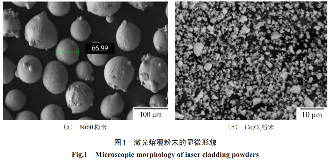 1734579266561421.png 1.png