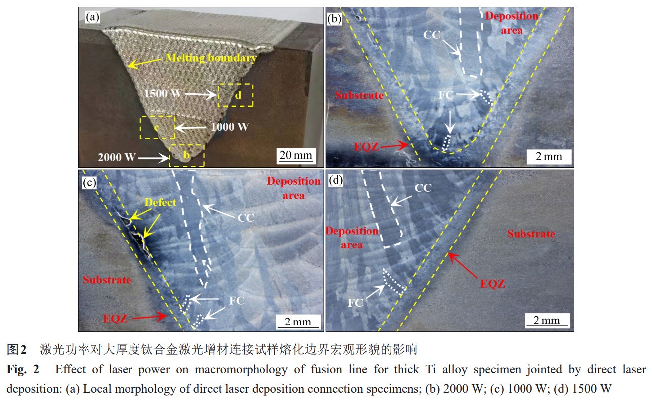 1735822308887199.jpg 2.jpg