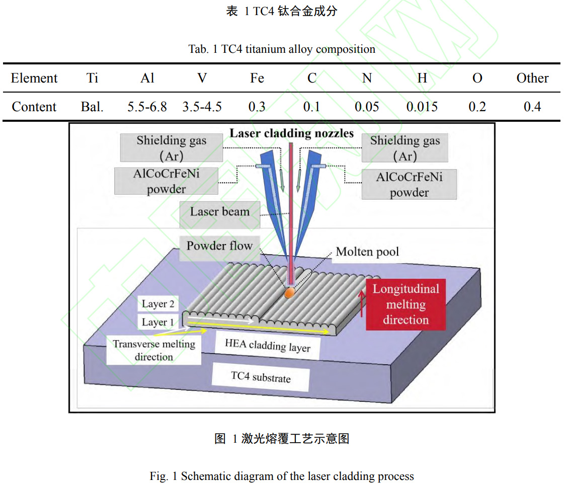 1739076635278687.jpg b1-t1.jpg