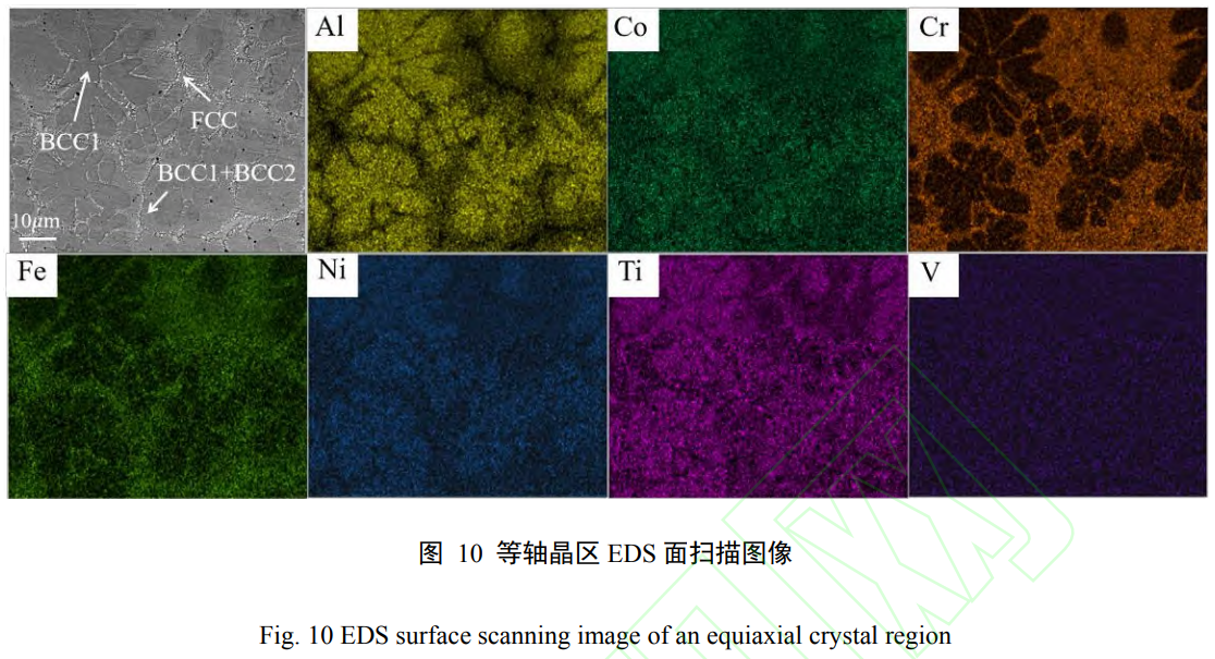 1739076889468817.png t10.png