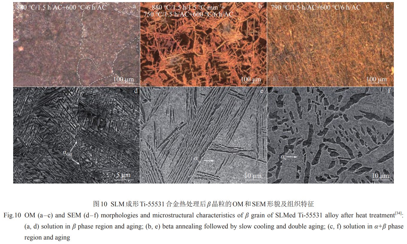 1739183101965585.jpg 10.jpg