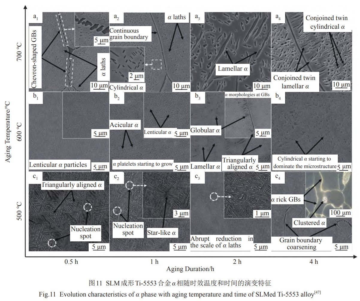 1739183120226614.jpg 11.jpg