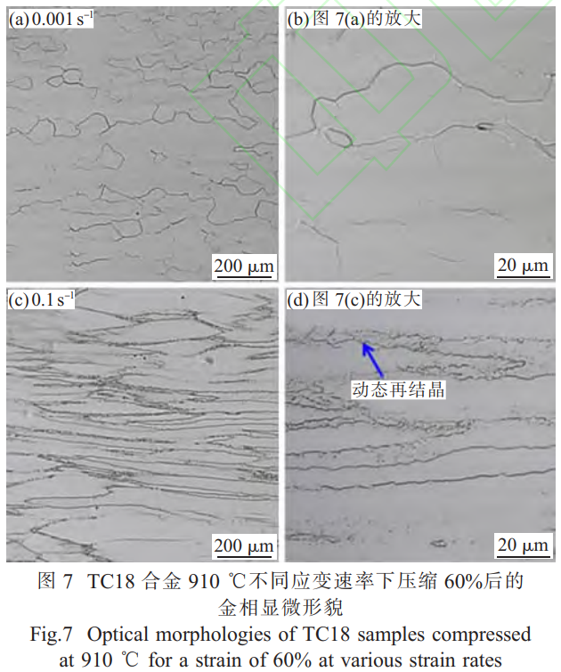 1746451436928754.png 截圖20250505212058.png