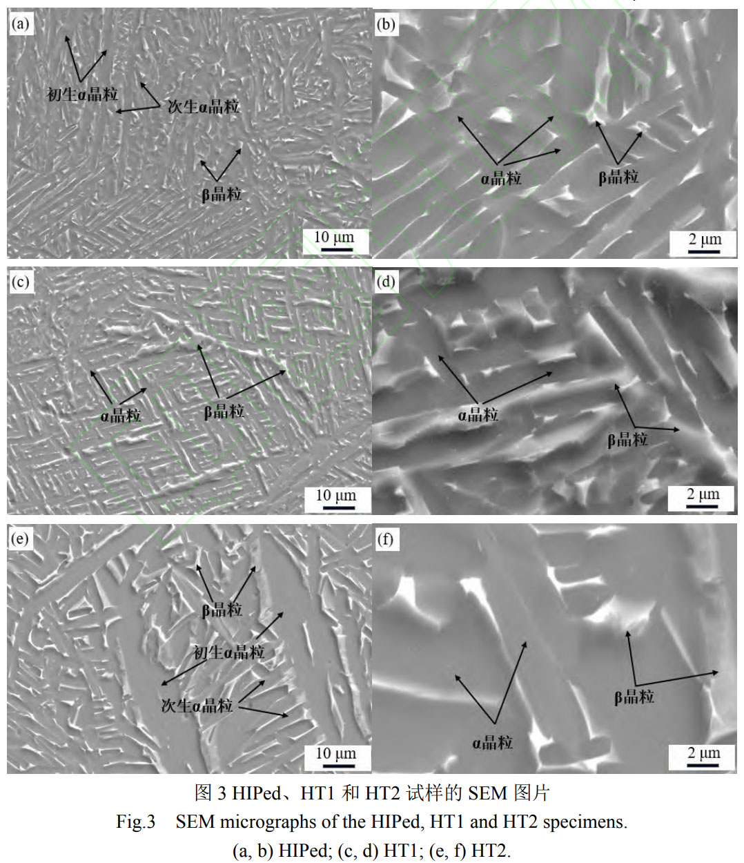 1759400502109309.jpg 未標題-5.jpg