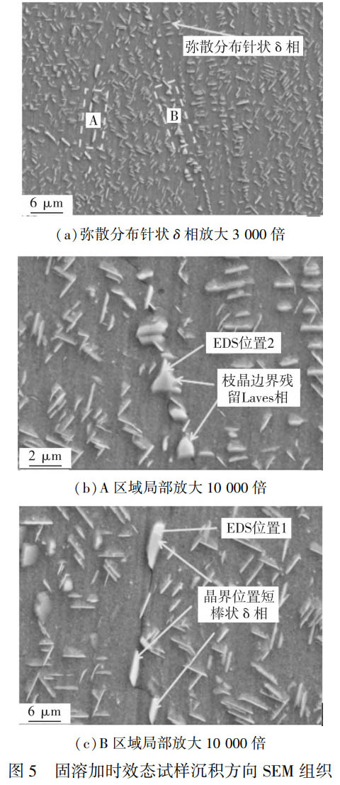 1759413265287753.jpg 未標題-5.jpg