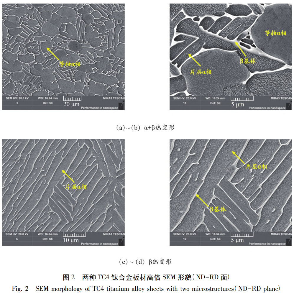 1759977016398000.jpg 未標題-1.jpg