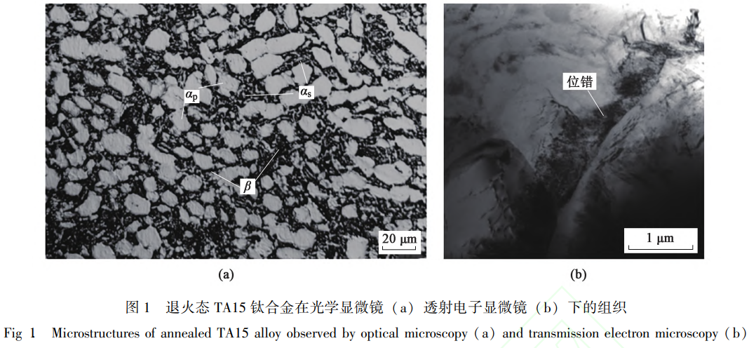 1765076434292573.png 截圖20251206224358.png