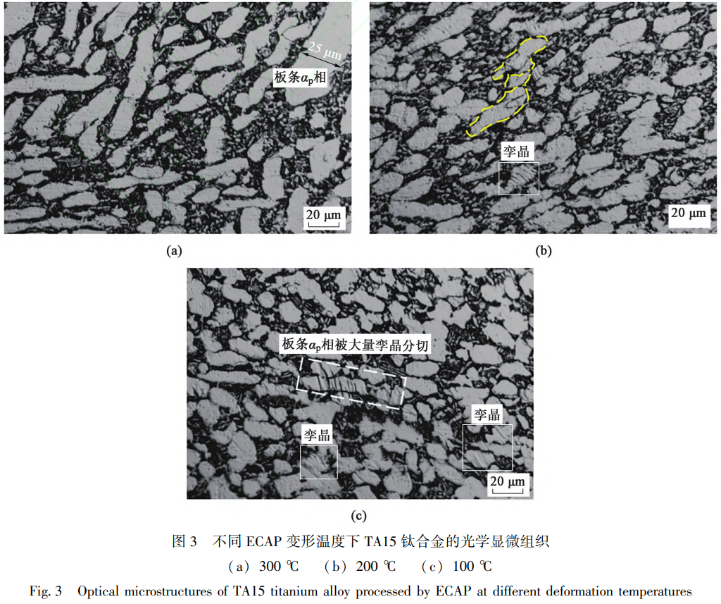 1765076469593408.png 截圖20251206224437.png