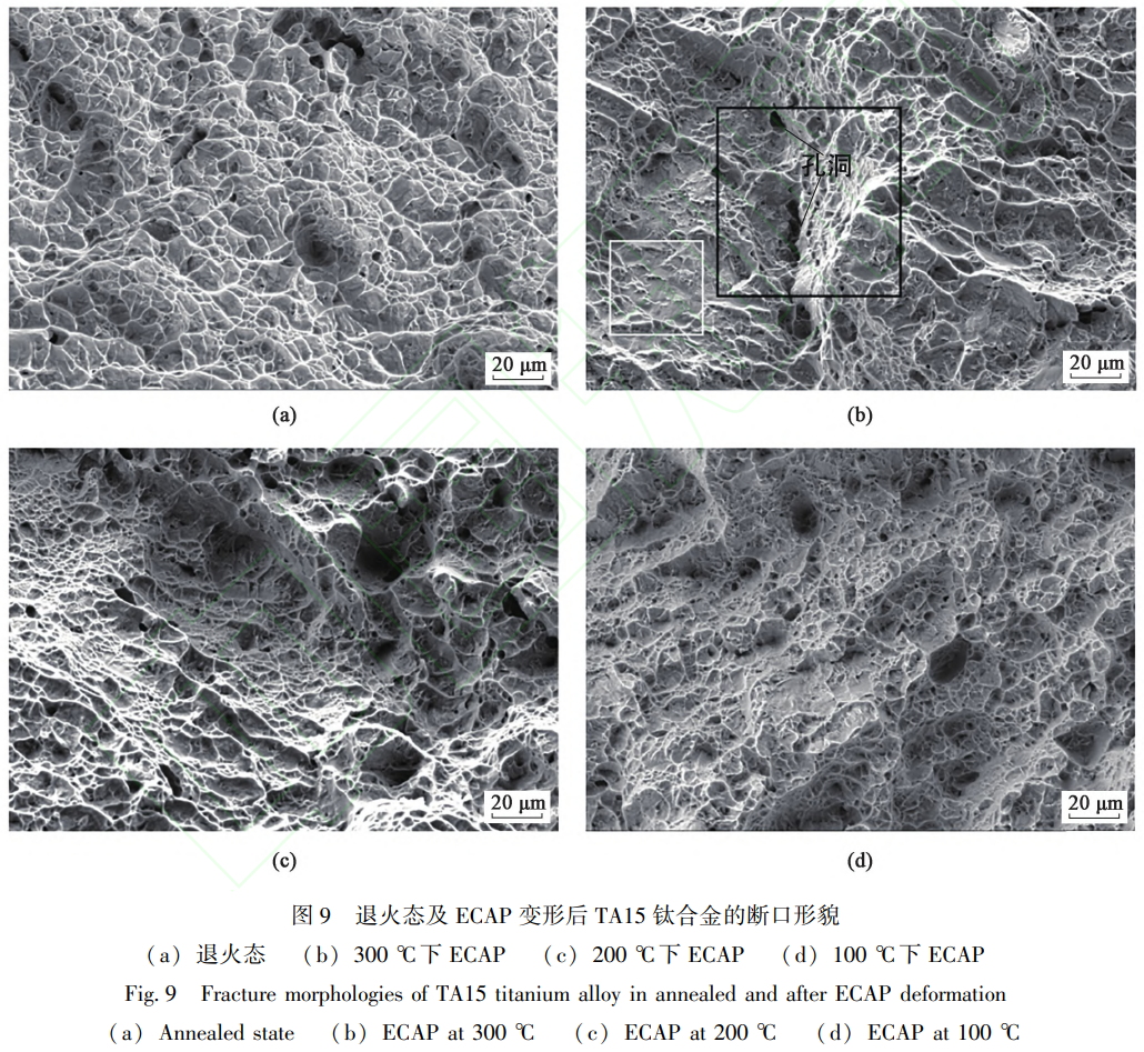 1765076630105010.png 截圖20251206224657.png