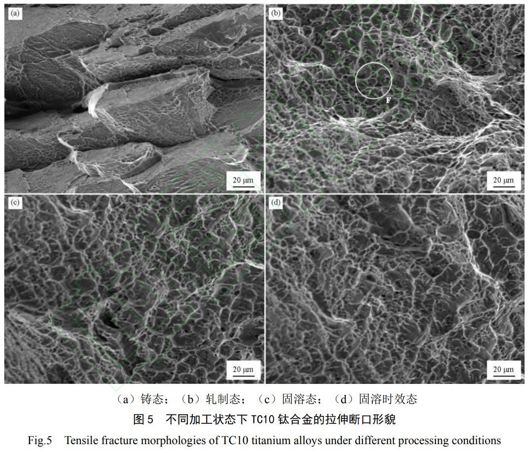 1765332133265936.jpg 未標(biāo)題-1.jpg