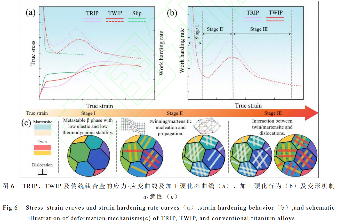 1765337876841271.png 截圖20251210112940.png